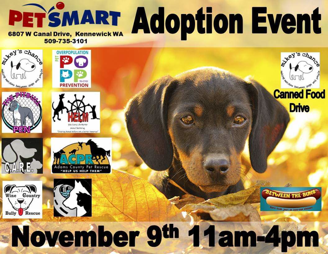 PetSmart Adoption Event